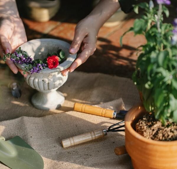 digital growth optimization tools