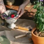 digital tools for growth