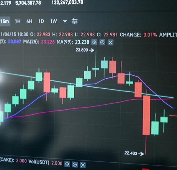 elevate your marketing platform