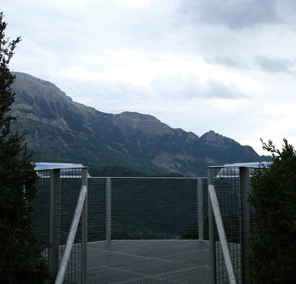 online services elevation platform